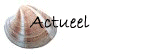 Actueel