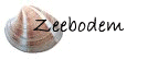 De zeebodem