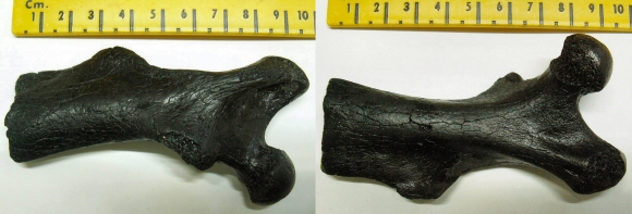 © Thijs de Boer © Thijs de Boer