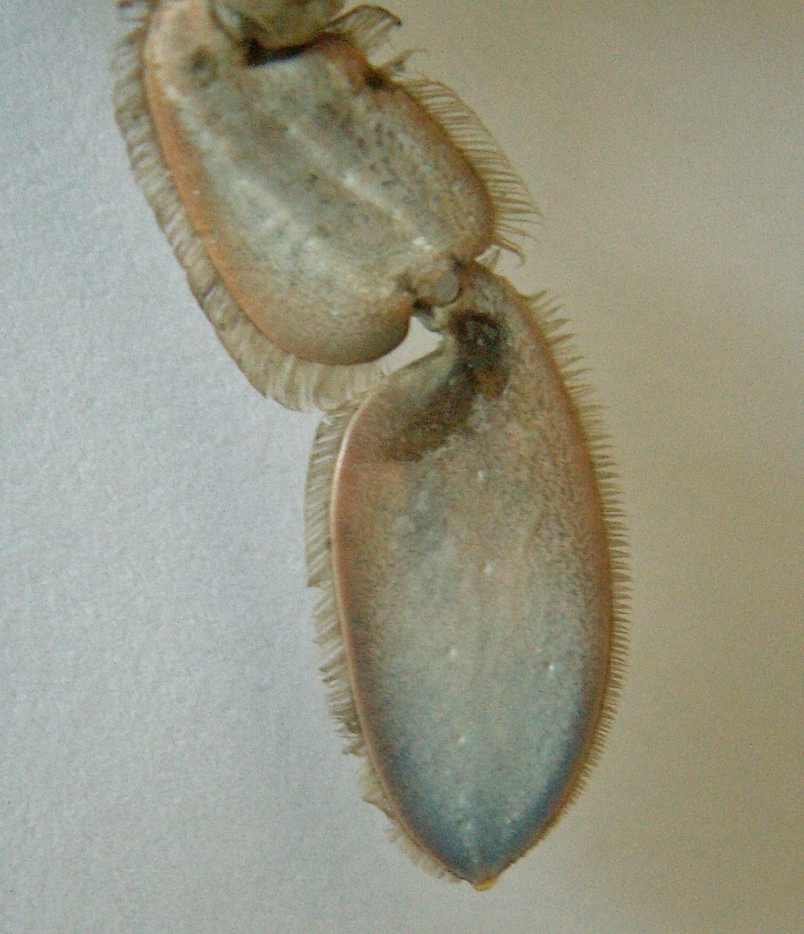 &copy; Thijs de Boer