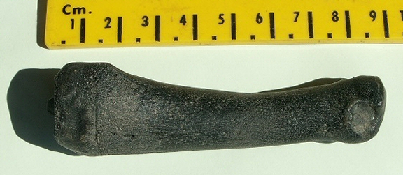 &copy; Thijs de Boer