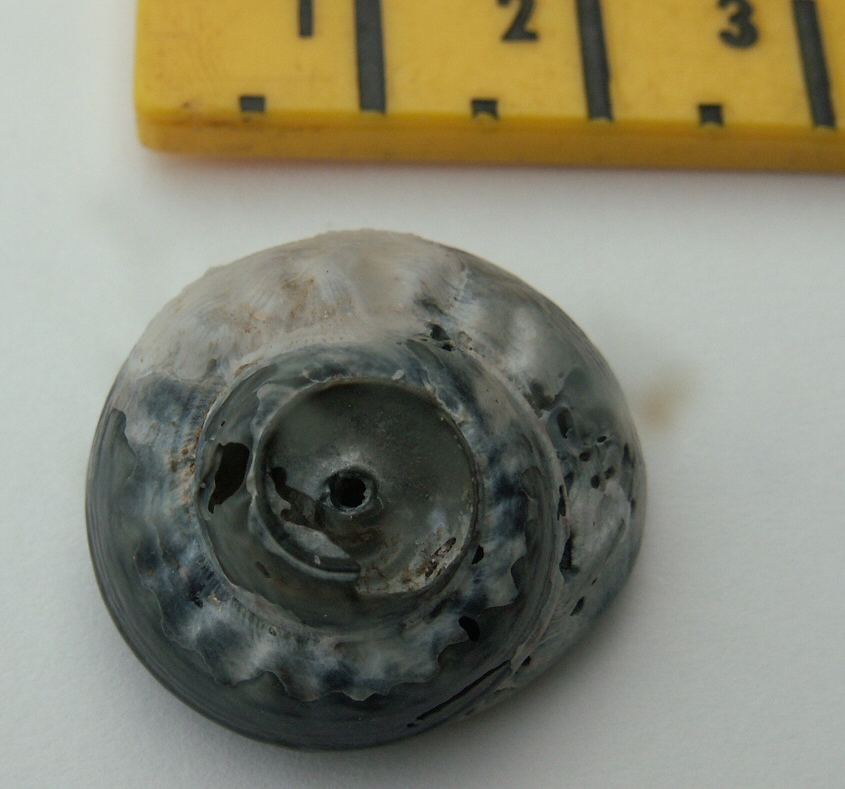 &copy; Thijs de Boer