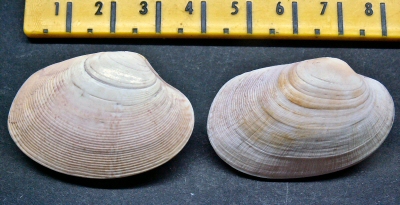 © Thijs de Boer © Thijs de Boer