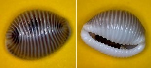 &copy; Casper Meinders