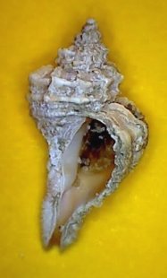 &copy; Casper Meinders