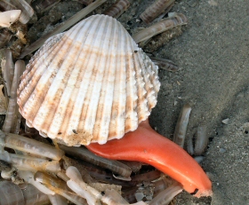 &copy; Thijs de Boer