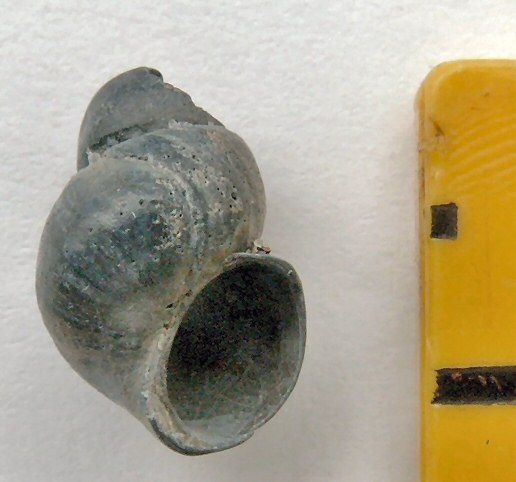 &copy; Thijs de Boer