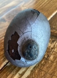 &copy Marieke den Boon