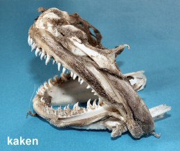 &copy; Thijs de Boer