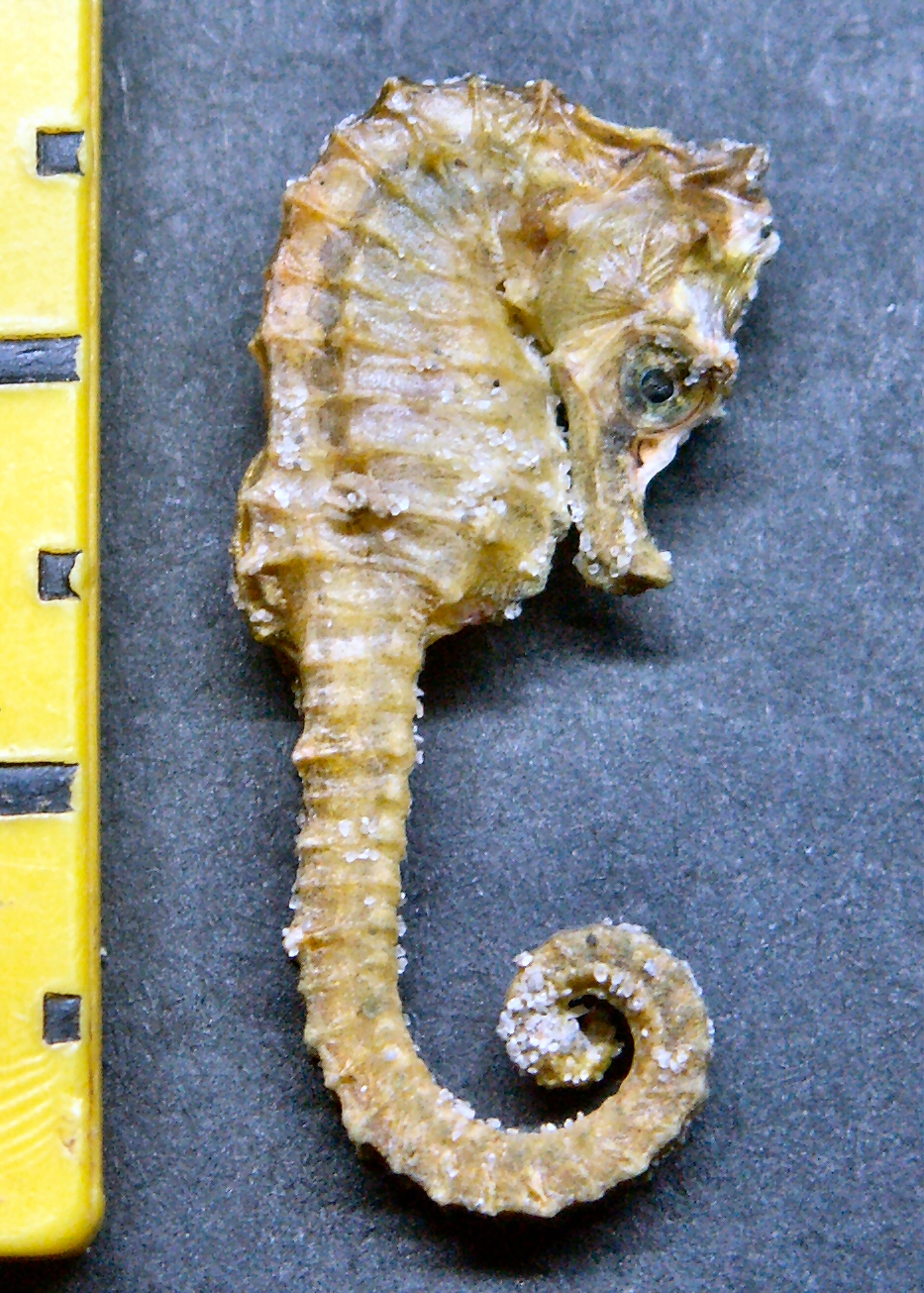 © Thijs de Boer © Thijs de Boer