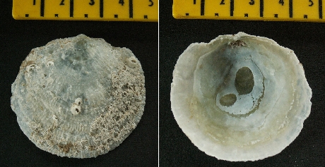 &copy; Thijs de Boer