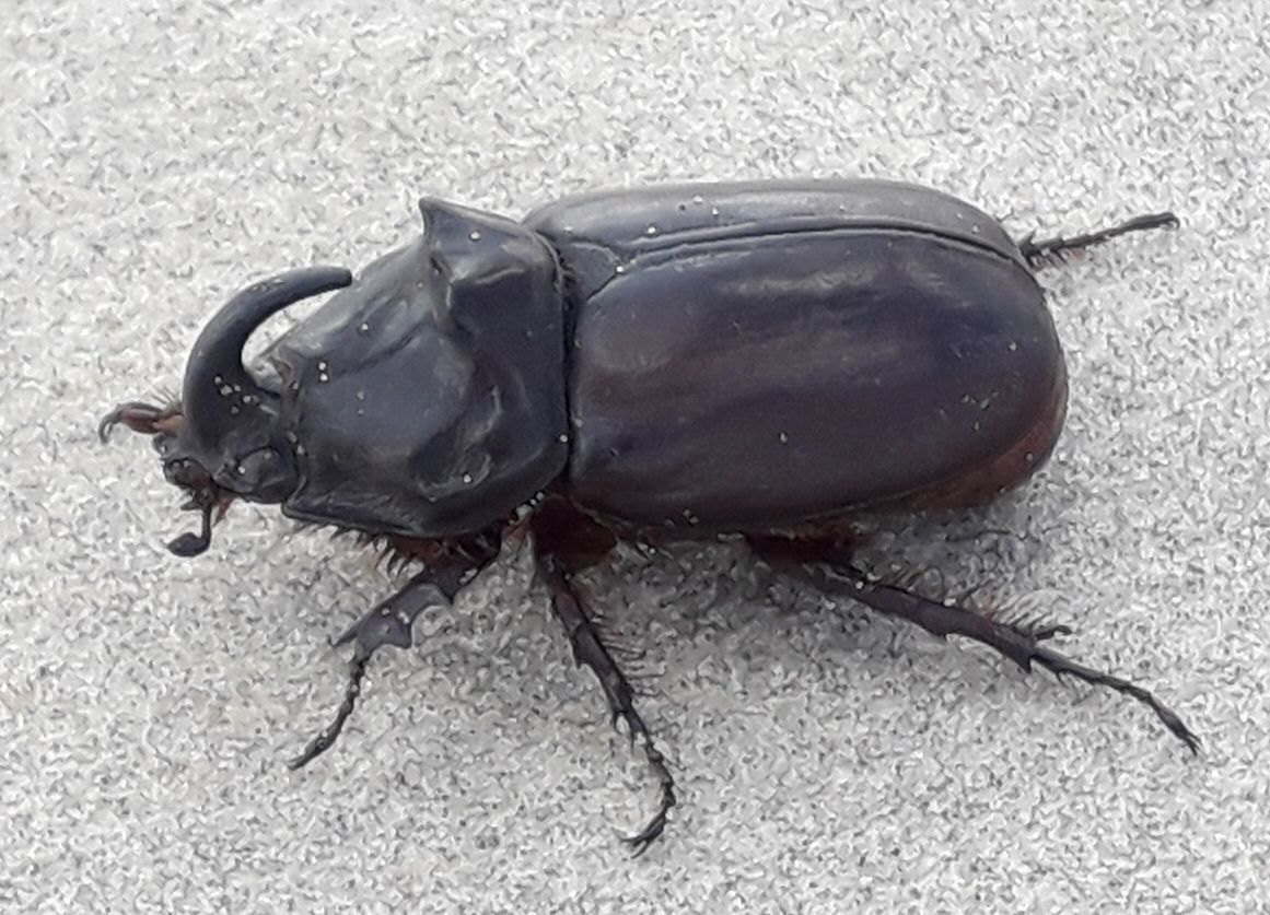 © Sjaak Gubbels © Sjaak Gubbels