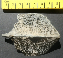 &copy; Thijs de Boer