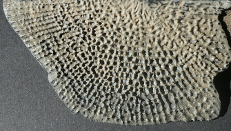 &copy; Thijs de Boer