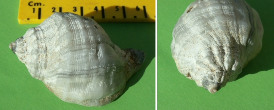 &copy; Thijs de Boer