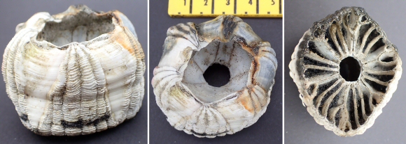 © Thijs de Boer © Thijs de Boer