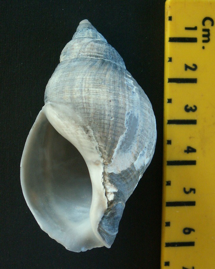 &copy; Thijs de Boer