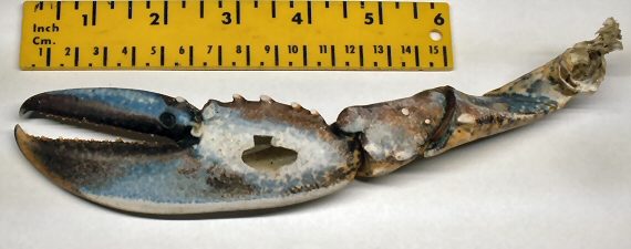 &copy; Thijs de Boer