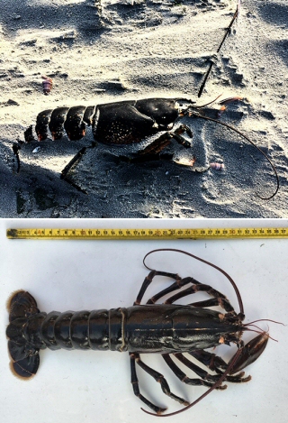 © Thijs de Boer © Thijs de Boer