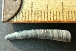 &copy; Thijs de Boer